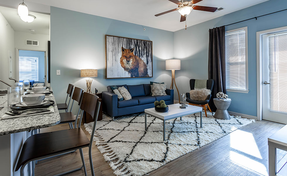 Furnished apartment living space
