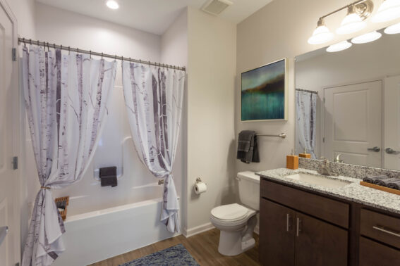 Furnished apartment bathroom