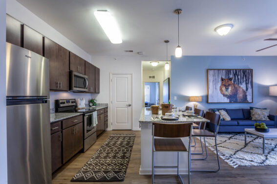 Apartment kitchen